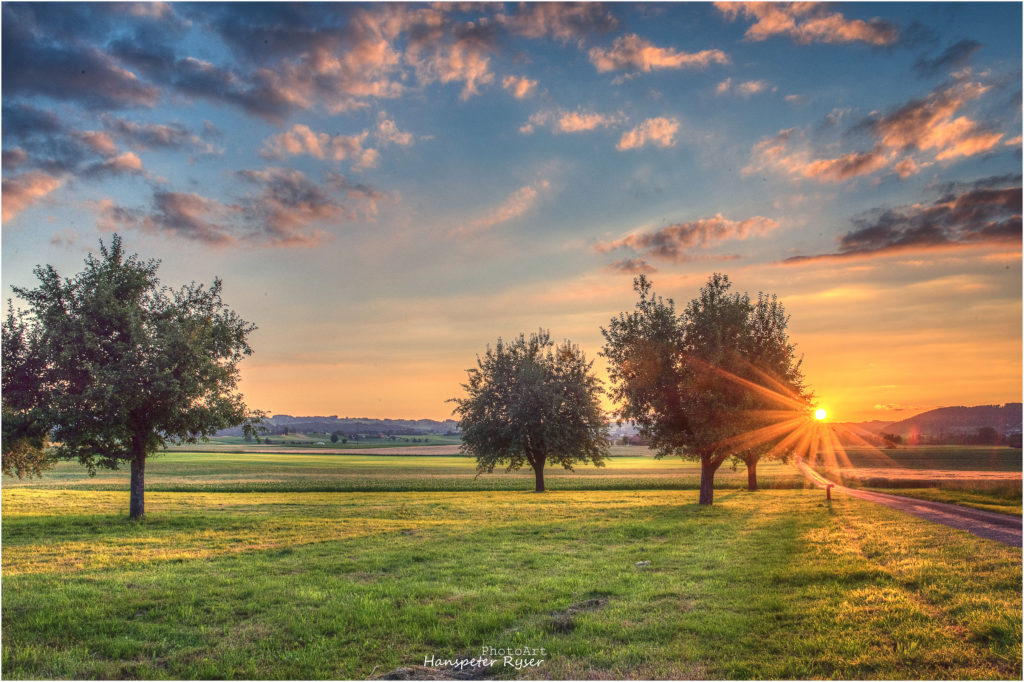 Trees PhotoArt Hanspeter Ryser